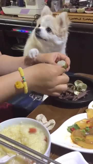 来看我吧在线观看土豆,揭秘“根据来看我吧”幕后故事 第1张 来看我吧在线观看土豆,揭秘“根据来看我吧”幕后故事 第1张