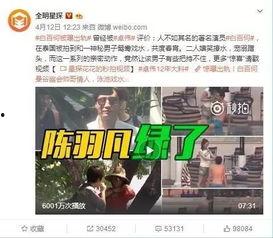 大叔爆料林炳村视频全集,林炳村视频全集深度解析  第2张