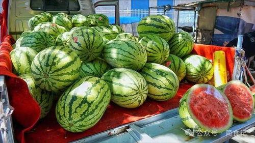 荷兰网红吃瓜事件真相是真的吗,真相揭秘,是真是假? 第3张 荷兰网红吃瓜事件真相是真的吗,真相揭秘,是真是假? 第3张