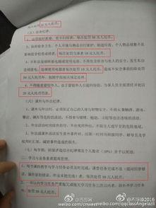陕西商洛最新爆料,揭秘神秘事件背后的真相 第3张 陕西商洛最新爆料,揭秘神秘事件背后的真相 第3张