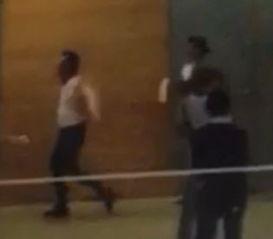 郑恺爆料兄弟视频大全最新,独家视频大揭秘  第2张