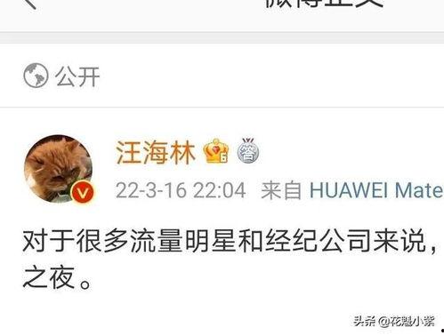 娱乐圈爆料说说,揭秘明星背后的故事与真相 第3张 娱乐圈爆料说说,揭秘明星背后的故事与真相 第3张